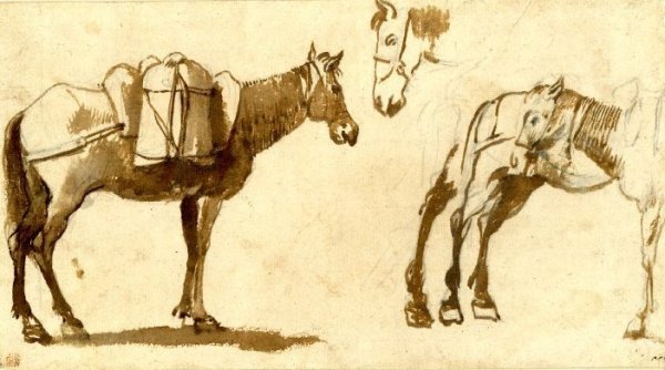 Drawing of mules, including one full length